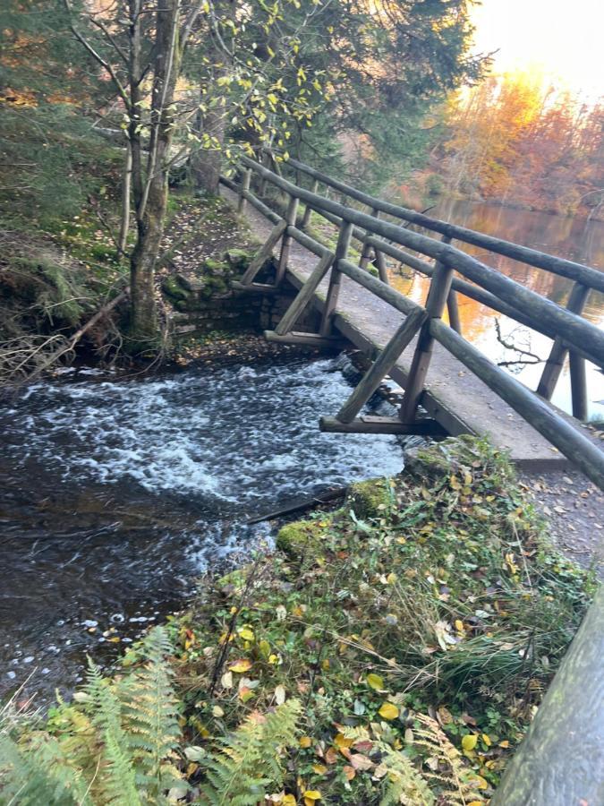 Moderne Und Zentral Gelegene Ferienwohnung In Braunlage Mit Rodelpiste Und Start Ski Langlauf In 300 Metern Entfernung Екстериор снимка