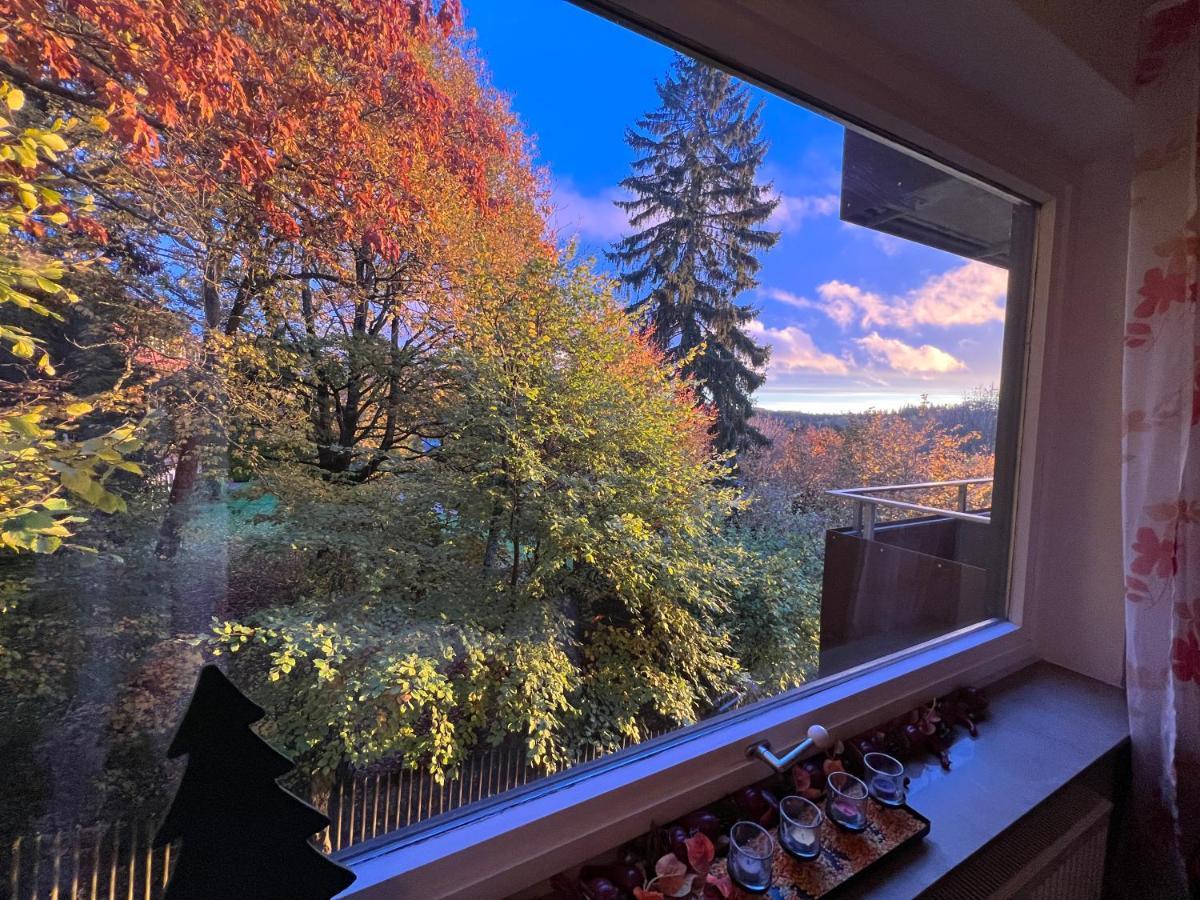 Moderne Und Zentral Gelegene Ferienwohnung In Braunlage Mit Rodelpiste Und Start Ski Langlauf In 300 Metern Entfernung Екстериор снимка