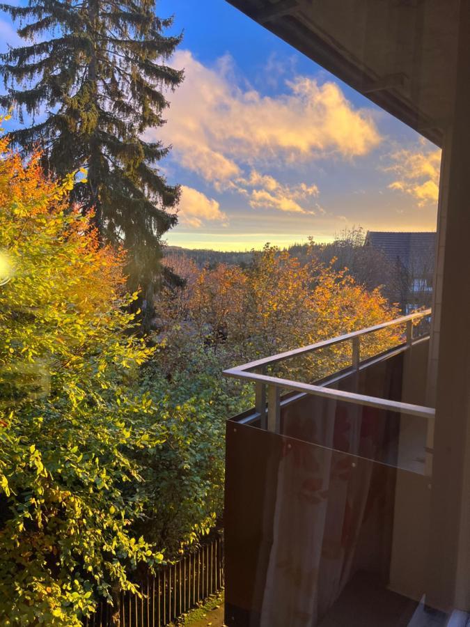 Moderne Und Zentral Gelegene Ferienwohnung In Braunlage Mit Rodelpiste Und Start Ski Langlauf In 300 Metern Entfernung Екстериор снимка